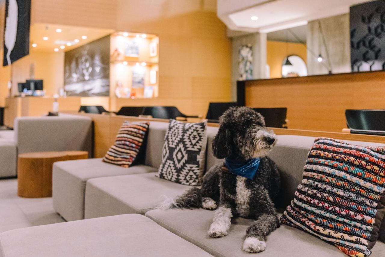 Delta Hotels By Marriott Mont Sainte-Anne, Resort & Convention Center 보프레 외부 사진